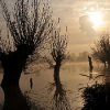 Christian_Behrens_1-Grafschaft