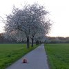 CB-2_Frühling